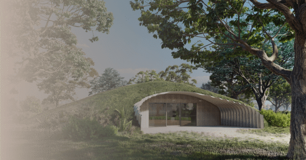 Home #01 - Image 4